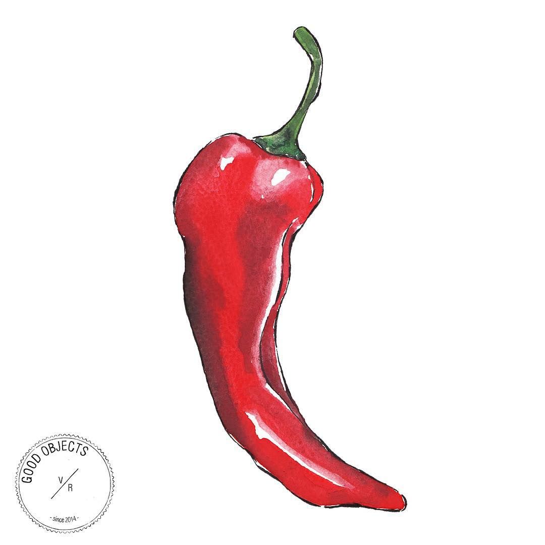 1080x1080 Good Objects - Red Chili Drawing