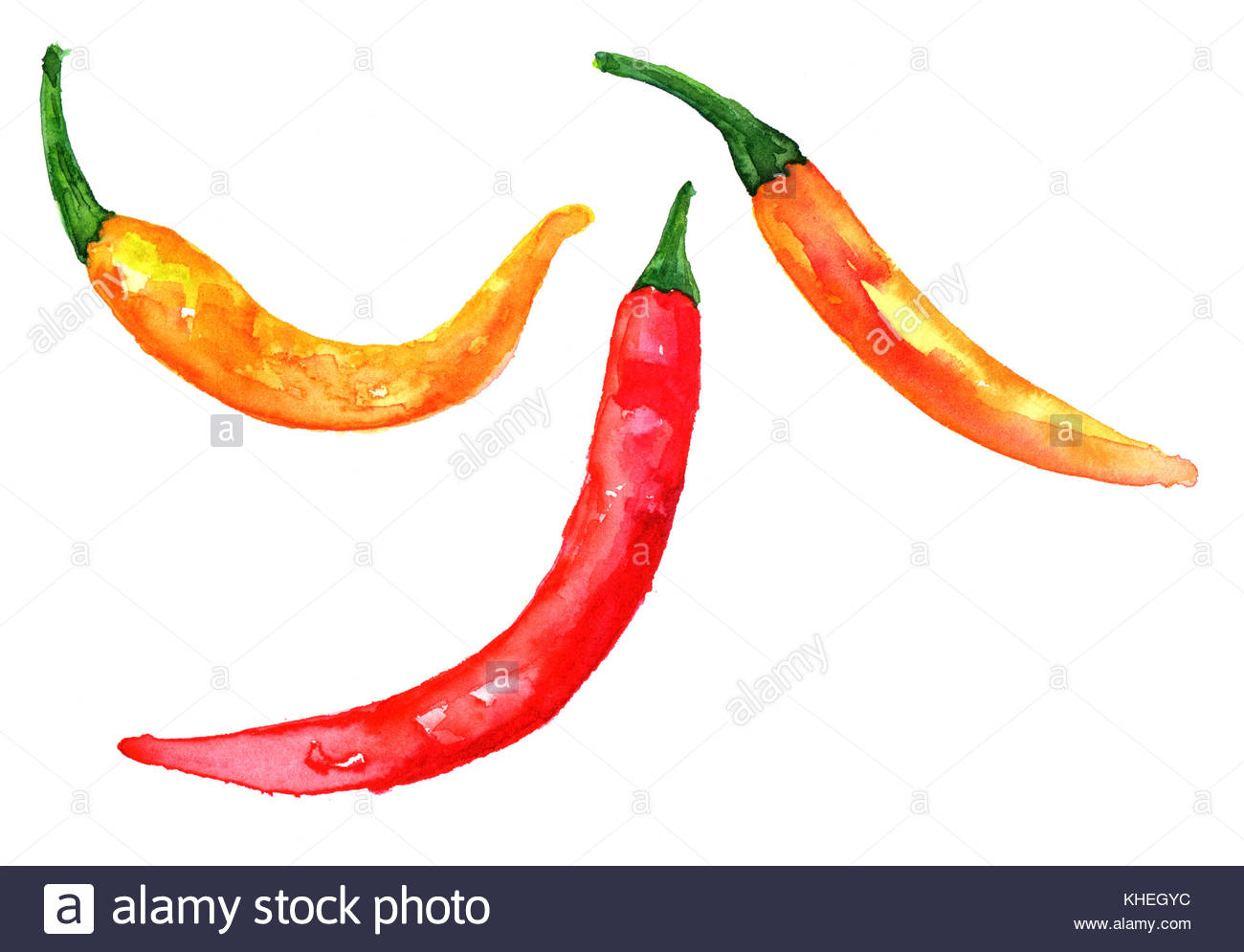 1300x995 huge collection of 'chili drawing' download more than images - Red Chili Drawing