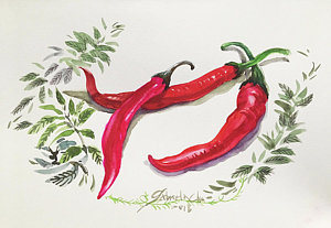 300x207 red chili drawings fine art america - Red Chili Drawing