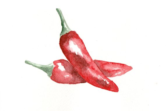 570x382 red chili pepper original watercolor food kitchen wall art etsy - Red Chili Drawing