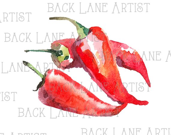 570x452 vegetables red chili watercolor drawing clipart lineart etsy - Red Chili Drawing
