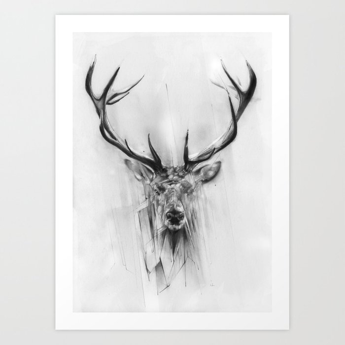 700x700 Red Deer Art Print - Red Deer Drawing