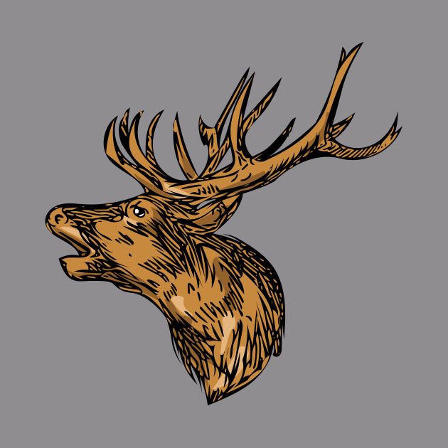 630x630 Red Deer Stag Head Roaring Drawing - Red Deer Drawing
