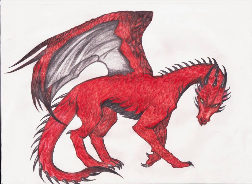 1048x763 Old Drawing Red Dragon - Red Dragon Drawing