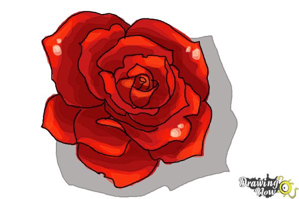600x400 How To Draw An Open Rose - Red Drawing