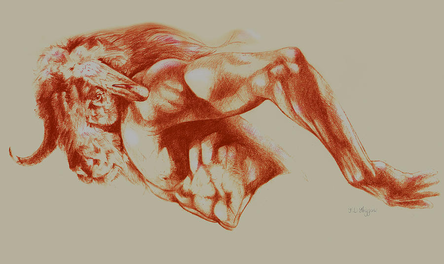 900x534 north american minotaur red sketch drawing - Red Drawing