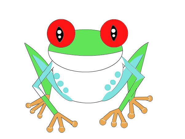 602x452 Red Eyed Tree Frog - Red Eyed Tree Frog Drawing