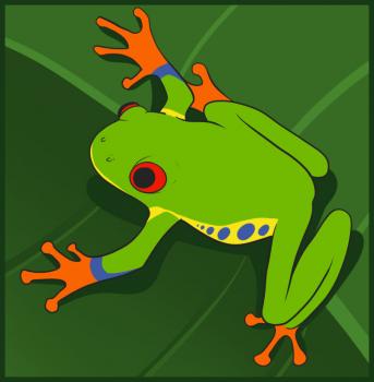 343x350 Red Eyed Tree Frog Drawing - Red Eyed Tree Frog Drawing