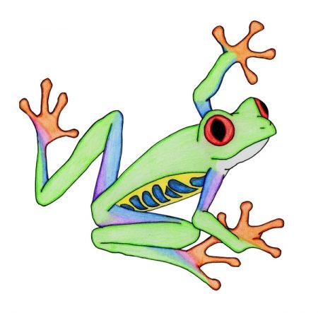 450x443 Red Eyed Tree Frog Cartoon This Was A Drawing For My Mom She - Red Eyed Tree Frog Drawing