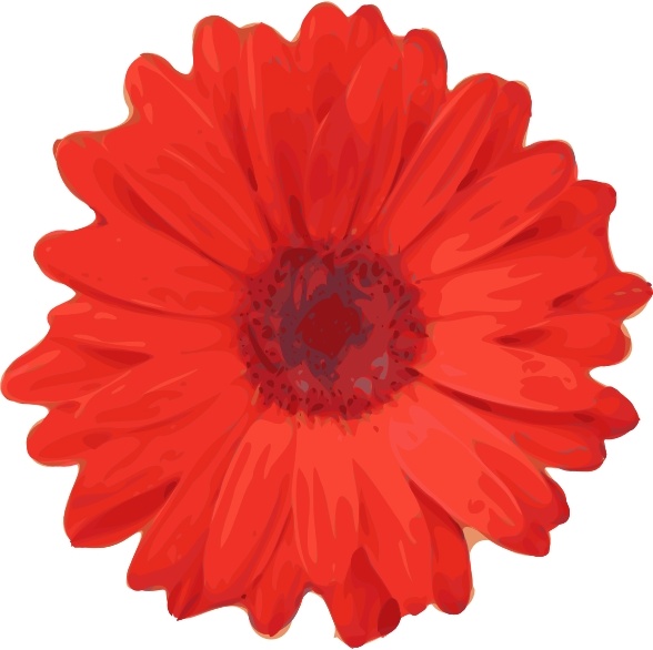 588x586 red flower pedals clip art free vector in open office drawing - Red Flower Drawing