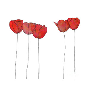 300x300 Red Flowers Drawing - Red Flower Drawing