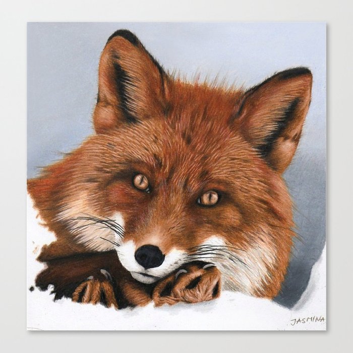 700x700 Red Fox Drawing Canvas Print - Red Fox Drawing
