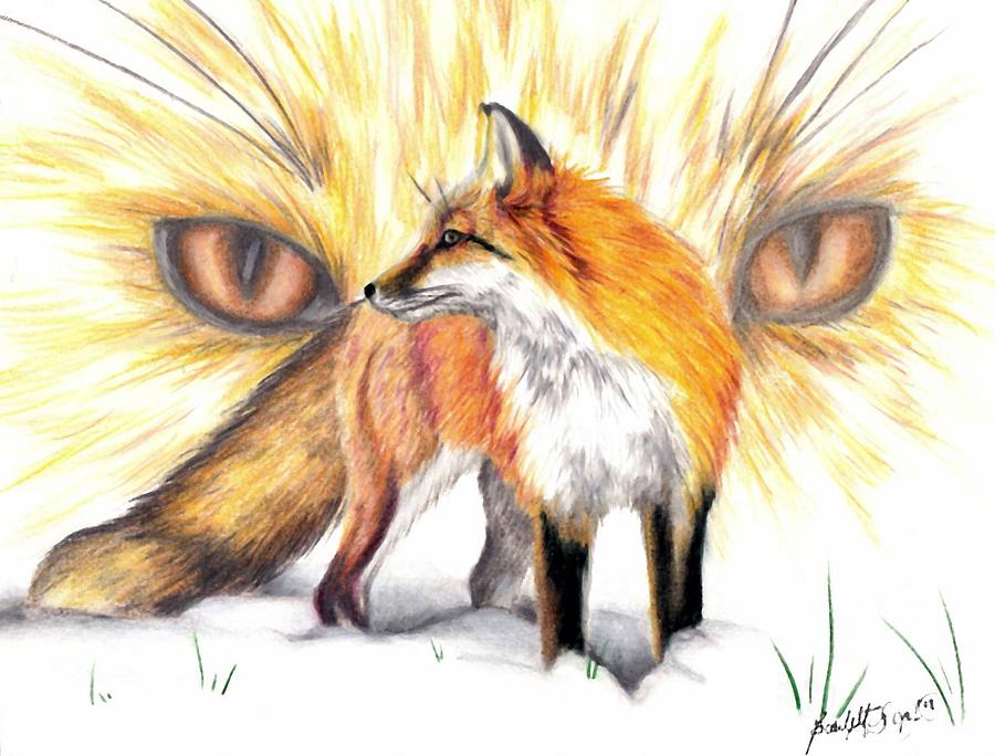 900x684 Red Fox Drawing - Red Fox Drawing
