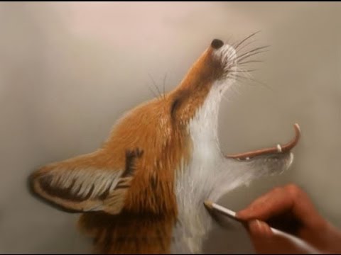 480x360 speed drawing red fox pup - Red Fox Drawing