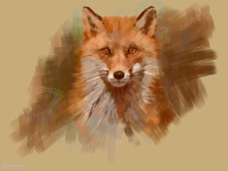 800x600 the quick red fox an animals speedpaint drawing - Red Fox Drawing