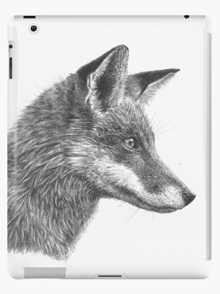 750x1000 Fantastic Mr Fox - Red Fox Drawing