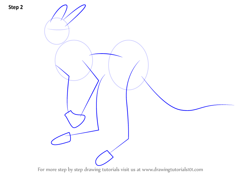 844x598 Learn How To Draw A Red Kangaroo - Red Kangaroo Drawing