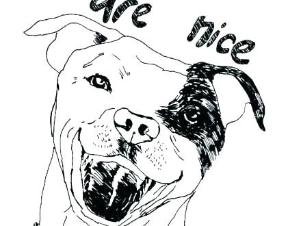 440x330 pitbull coloring pages red nose pitbull coloring pages - Red Nose Pitbull Drawings