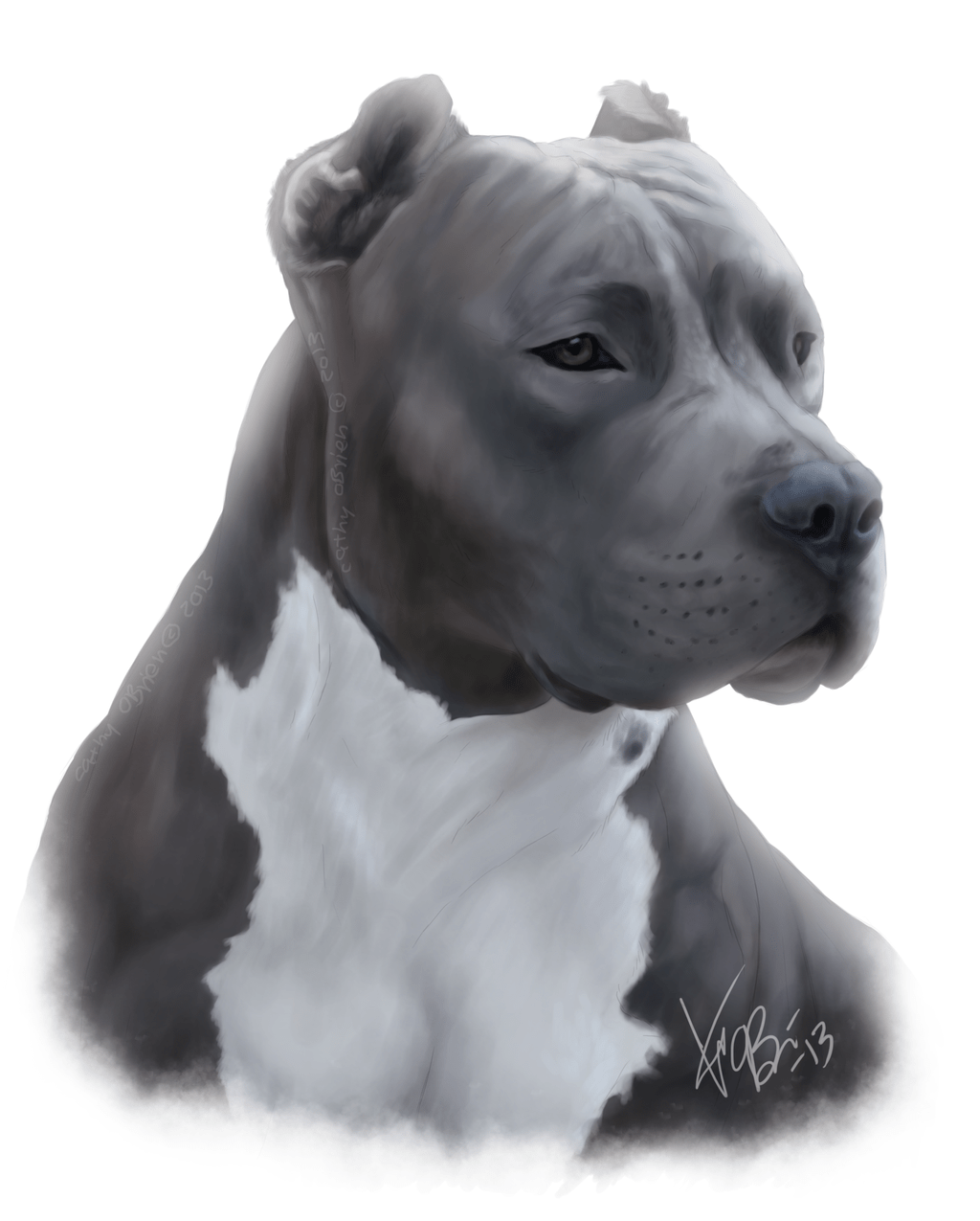 Red Nose Pitbull Drawings at Explore collection of