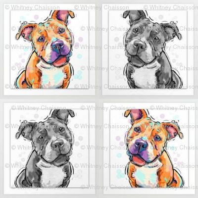 400x400 red nose blue nose pitbull fabric - Red Nose Pitbull Drawings