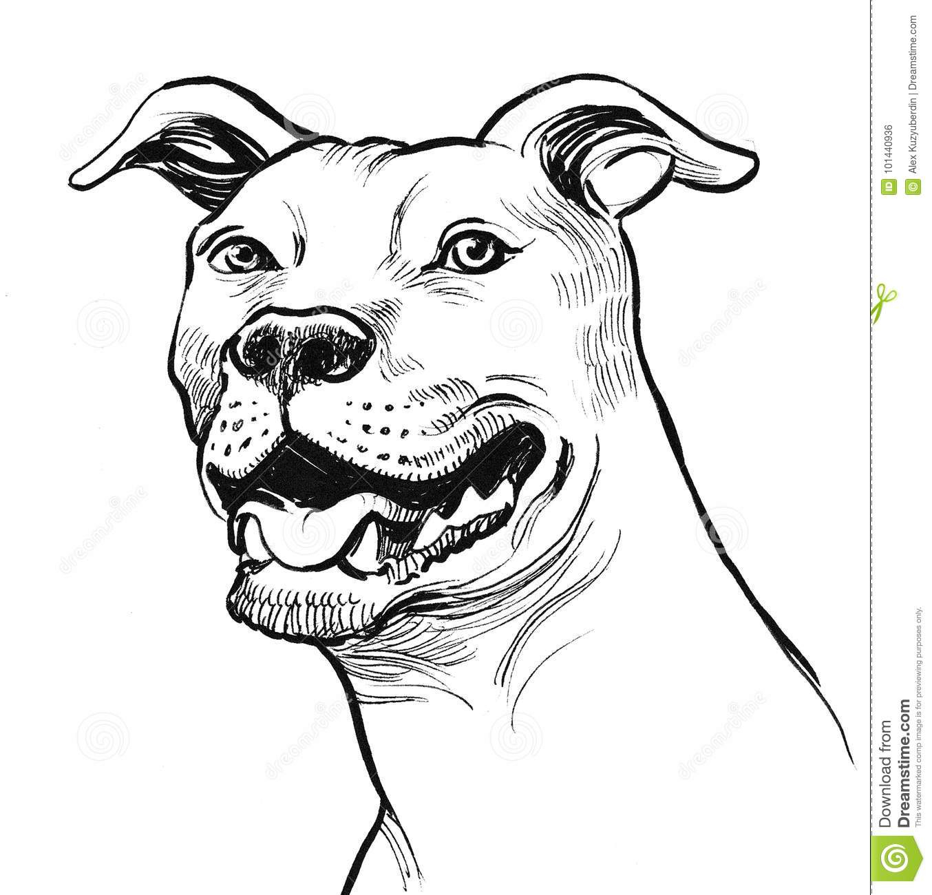 1354x1300 Abstract Red Nose Pitbull Drawings Pit Bull Terrier Stock - Red Nose Pitbull Drawings