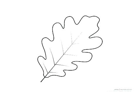 476x333 Oak Tree Coloring - Red Oak Tree Drawing