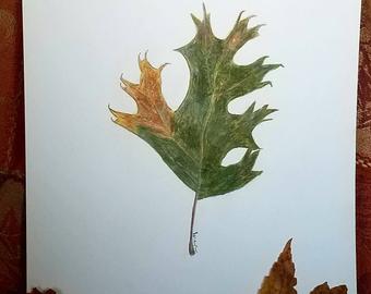 340x270 Oak Leaf Drawing Etsy - Red Oak Tree Drawing