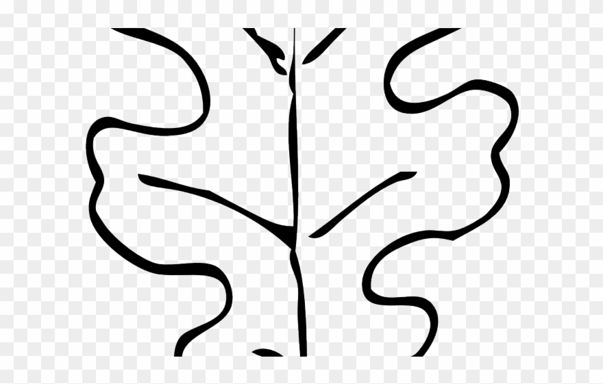 880x561 Foliage Clipart Red Oak Tree - Red Oak Tree Drawing