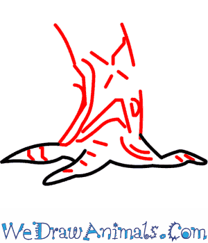 300x350 How To Draw An Oak Tree - Red Oak Tree Drawing