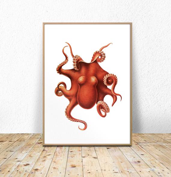 570x590 red octopus printable instant octopus print digital octopus etsy - Red Octopus Drawing
