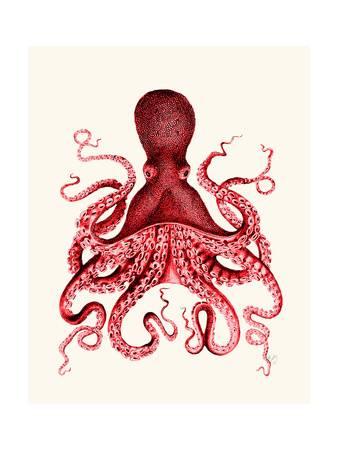 338x450 Affordable Octopus Poster For Sale - Red Octopus Drawing