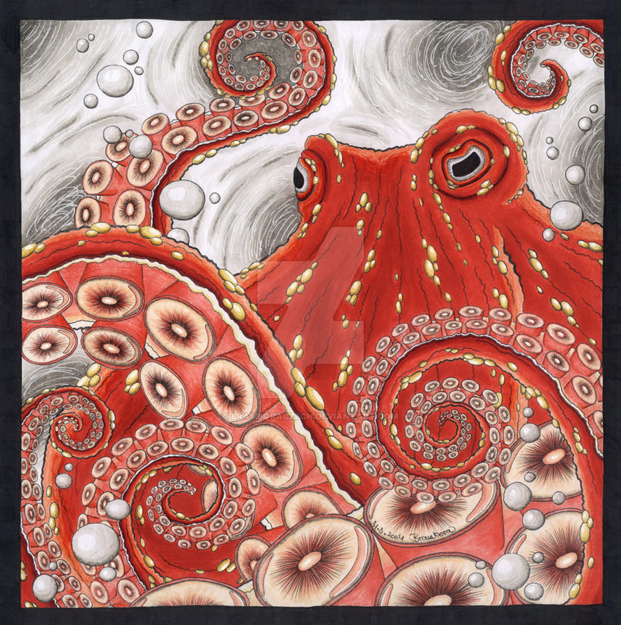 891x897 Red Octopus - Red Octopus Drawing
