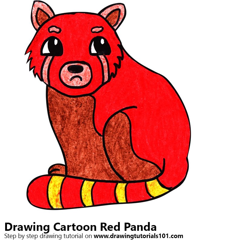 800x800 Learn How To Draw A Cartoon Red Panda - Red Panda Drawing