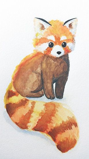 310x550 Red Panda' Poster - Red Panda Drawing