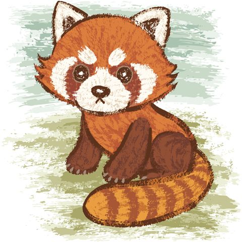 480x480 Red Panda' - Red Panda Drawing