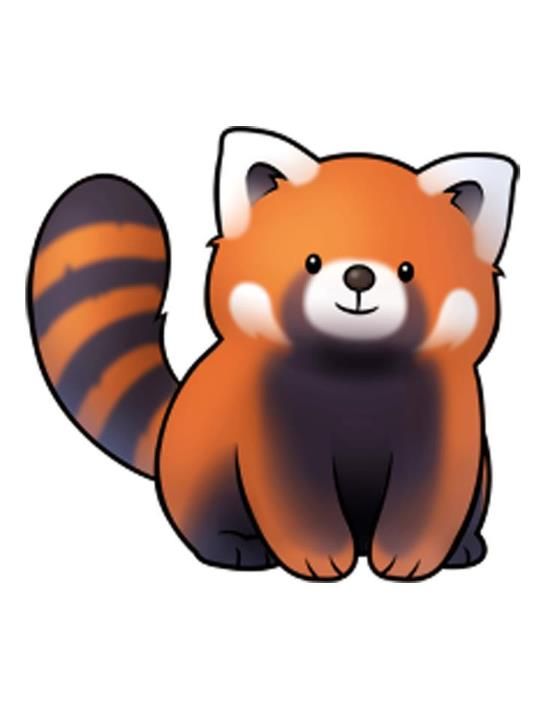 556x720 Red Panda Drawing Drawing Skill - Red Panda Drawing