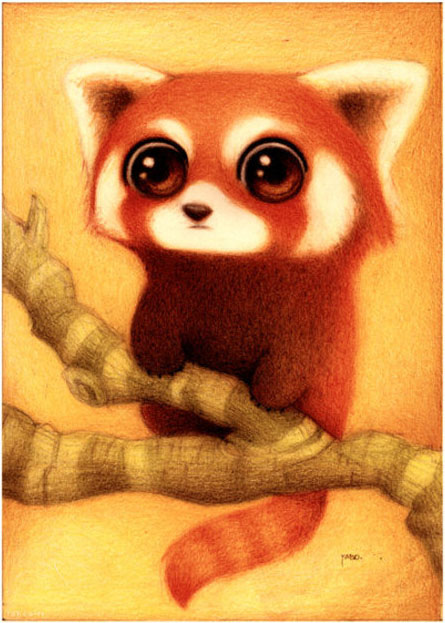 445x623 Cute Drawing Of A Red Panda - Red Panda Drawing