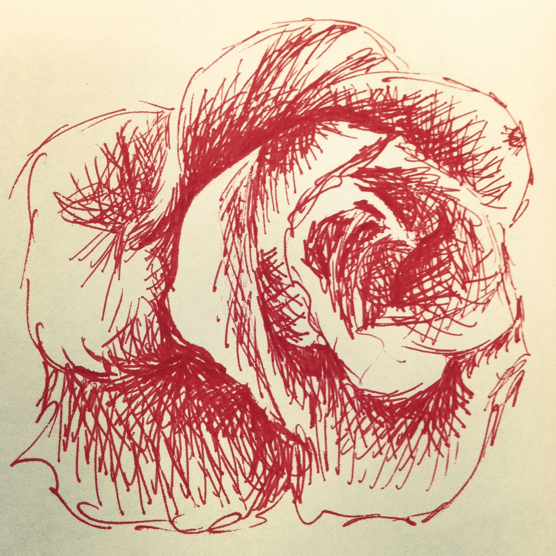 1936x1936 Original Ink Sketch Roses Are Red - Red Pen Drawing