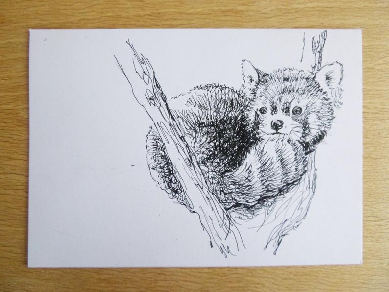794x596 Pen Drawing Red Panda Gift Card Hand Drawn Original Artwork Etsy - Red Pen Drawing