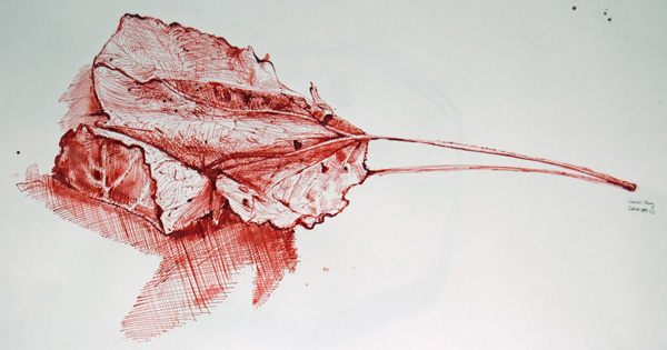 600x315 recent pen and ink drawings james merry - Red Pen Drawing