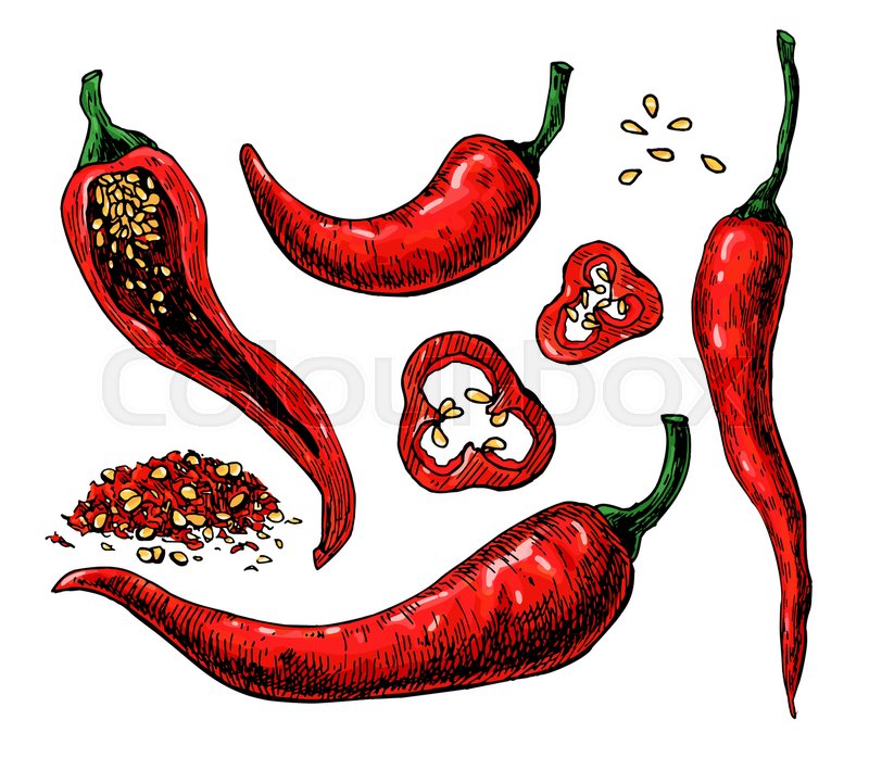 800x709 chili pepper hand drawn vector stock vector colourbox - Red Pepper Drawing