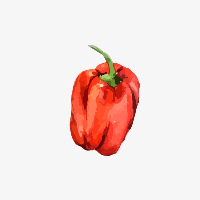 Red Pepper Drawing at PaintingValley.com | Explore collection of Red