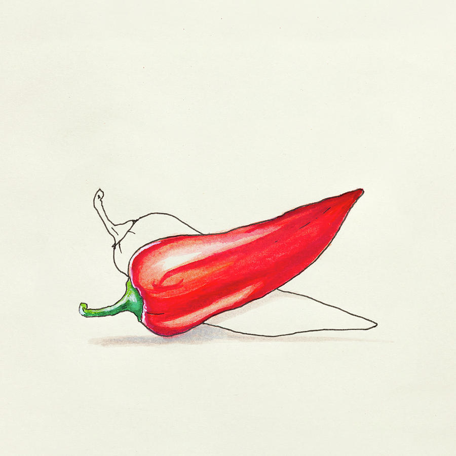 900x900 sketch drawing of red hot pepper drawing - Red Pepper Drawing