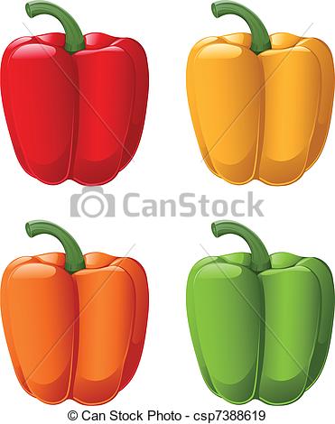 371x470 sweet peppers a vector of all sweet pepper colors - Red Pepper Drawing