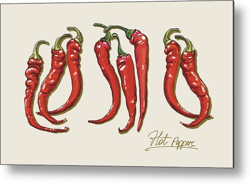 493x363 vector hand drawing red pepper metal print - Red Pepper Drawing