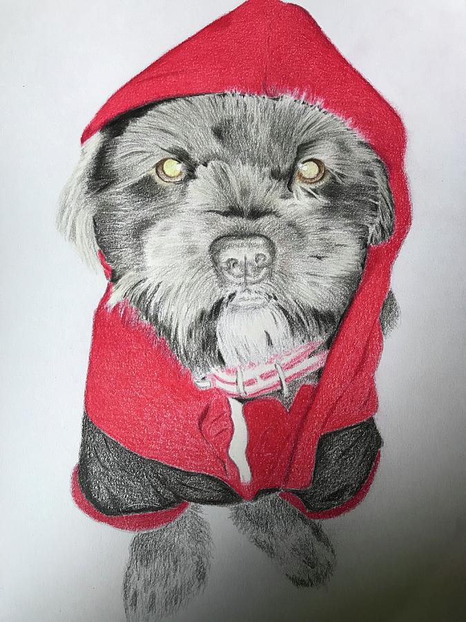 675x900 red riding hood drawing - Red Riding Hood Drawing