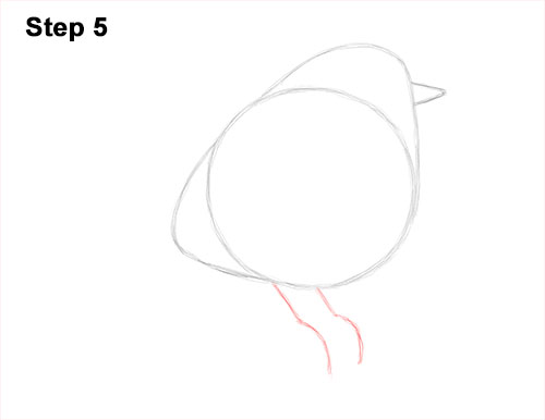 500x386 How To Draw A Robin - Red Robin Bird Drawing