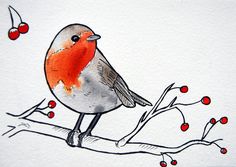236x167 Best Red Robin Bird Images Robins, Exotic Birds, In Love - Red Robin Bird Drawing