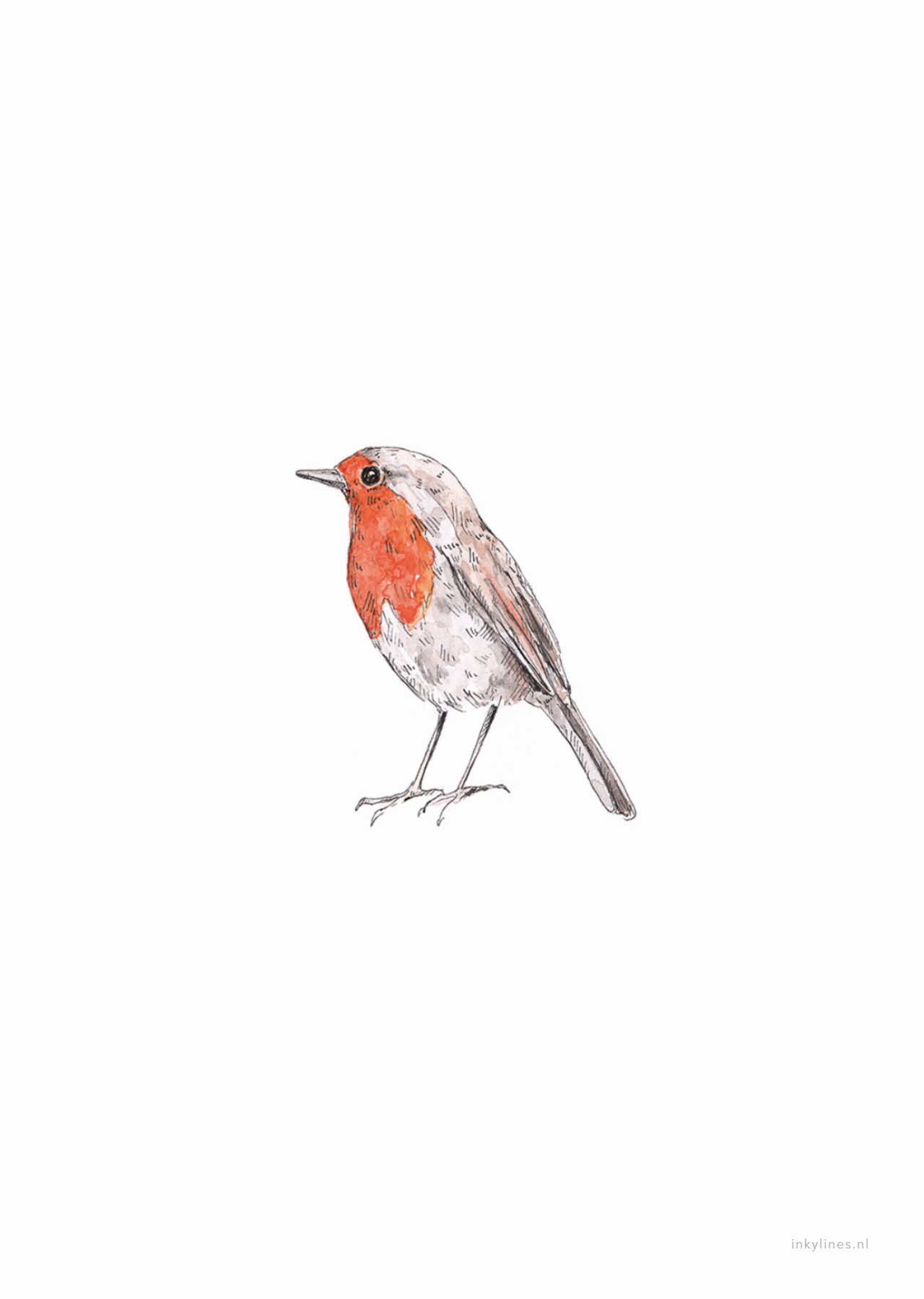 Нарисовать птицу с красной грудкой