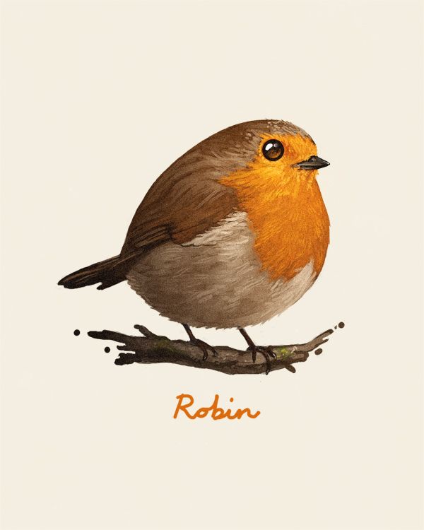 600x750 Pinned - Red Robin Bird Drawing